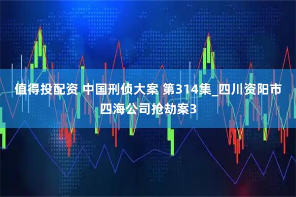 值得投配资 中国刑侦大案 第314集_四川资阳市四海公司抢劫案3