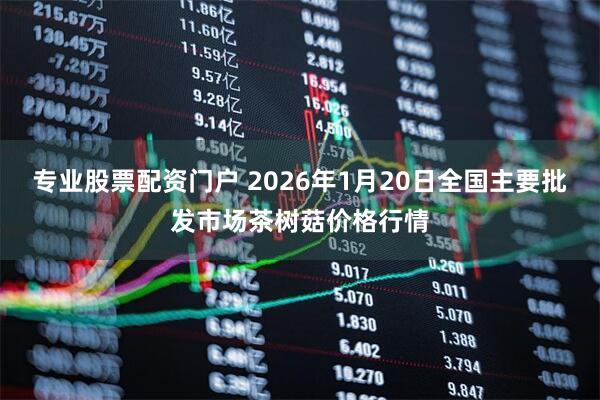 专业股票配资门户 2026年1月20日全国主要批发市场茶树菇价格行情