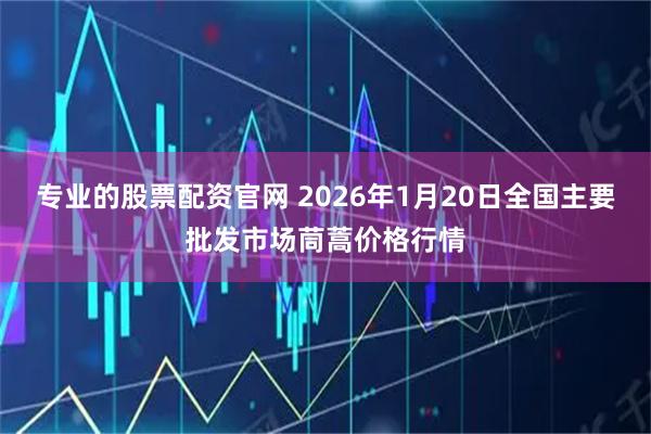专业的股票配资官网 2026年1月20日全国主要批发市场茼蒿价格行情
