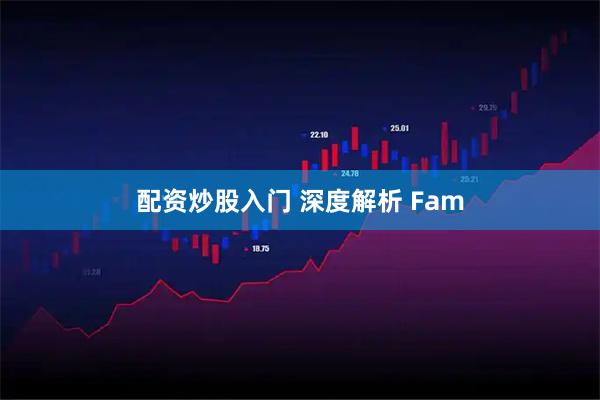 配资炒股入门 深度解析 Fam