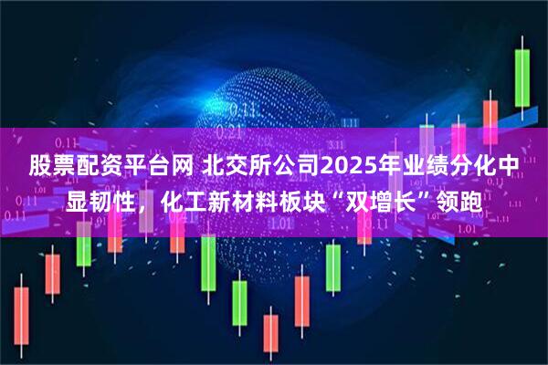股票配资平台网 北交所公司2025年业绩分化中显韧性，化工新材料板块“双增长”领跑